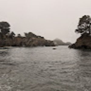 Meet your Posher, Chase